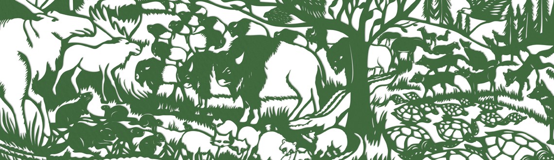 Sarah Dennis Animal Camouflage News Feature Image Sarah Dennis Animal Camouflage News Feature Image