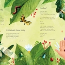 Becky Thorns Macmillan News Item