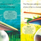 Gareth Lucas Penguin News Item